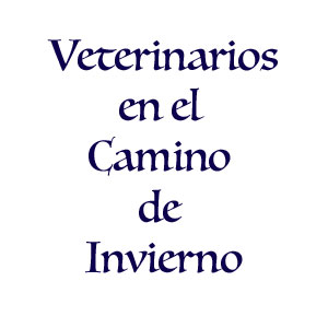 Veterinarios del Camino de Invierno