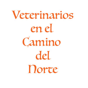 Veterinarios en el Camino del Norte