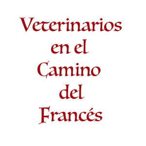 Veterinarios del Camino Francés