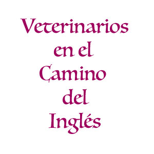 Veterinarios del Camino Inglés