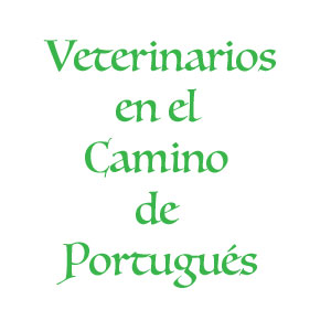 Veterinarios del Camino Portugués