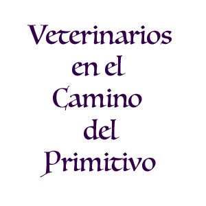 Veterinarios del Camino Primitivo