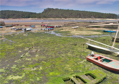 3- Banco Peregrino Vilagarcía de Arousa