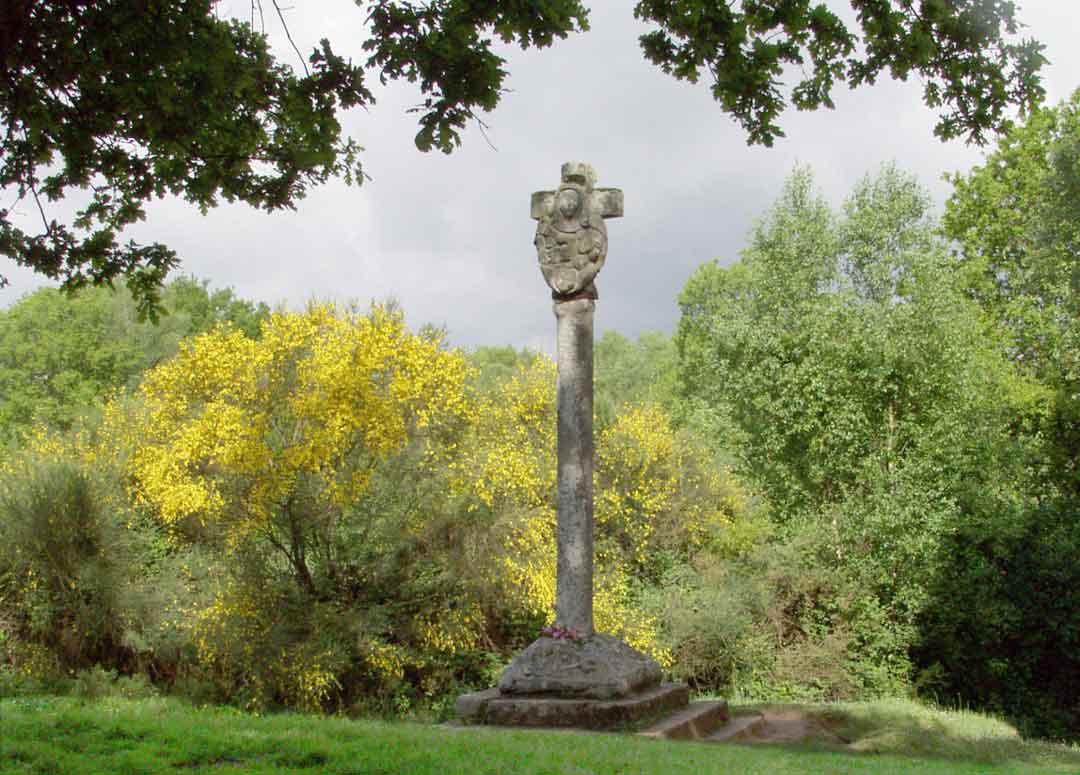MONTERROSO-CAMINODESANTIAGO MONTERROSO-CAMINODESANTIAGO