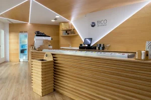 01-bico-de-xeado-santiago