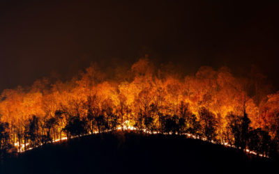 ¿Qué hacer si te encuentras un incendio forestal el Camino?