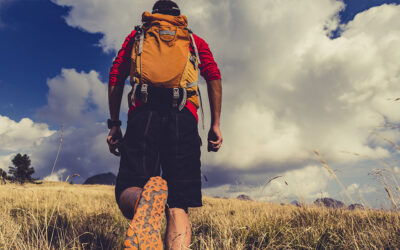 ¿Por qué el Camino de Santiago atrae cada vez a más peregrinos?